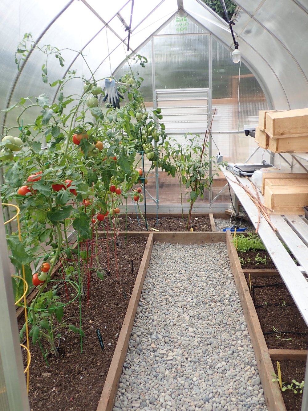 Our Greenhouse