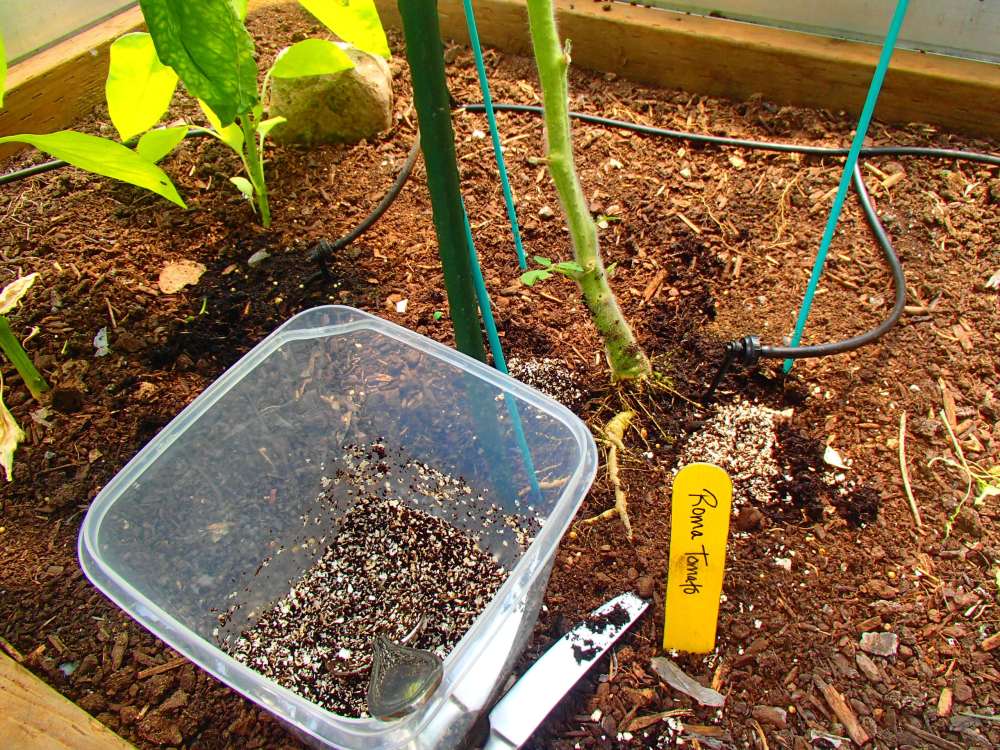 Coffee grinds and egg shells