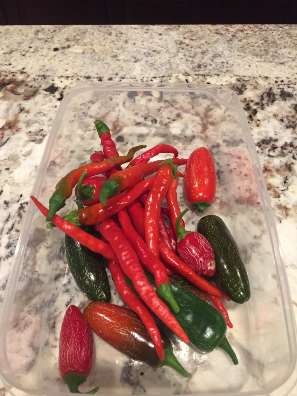 20181025_222800870_ios