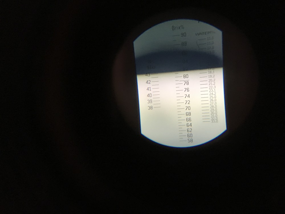 Wild Sprout Honey 2019