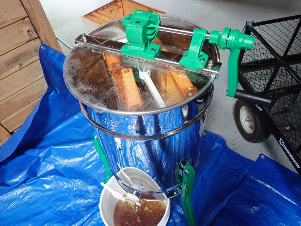 Wild Sprout Honey Extraction 2019