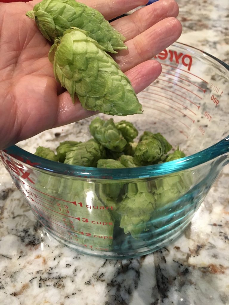 Just a little hops to make hopped mead