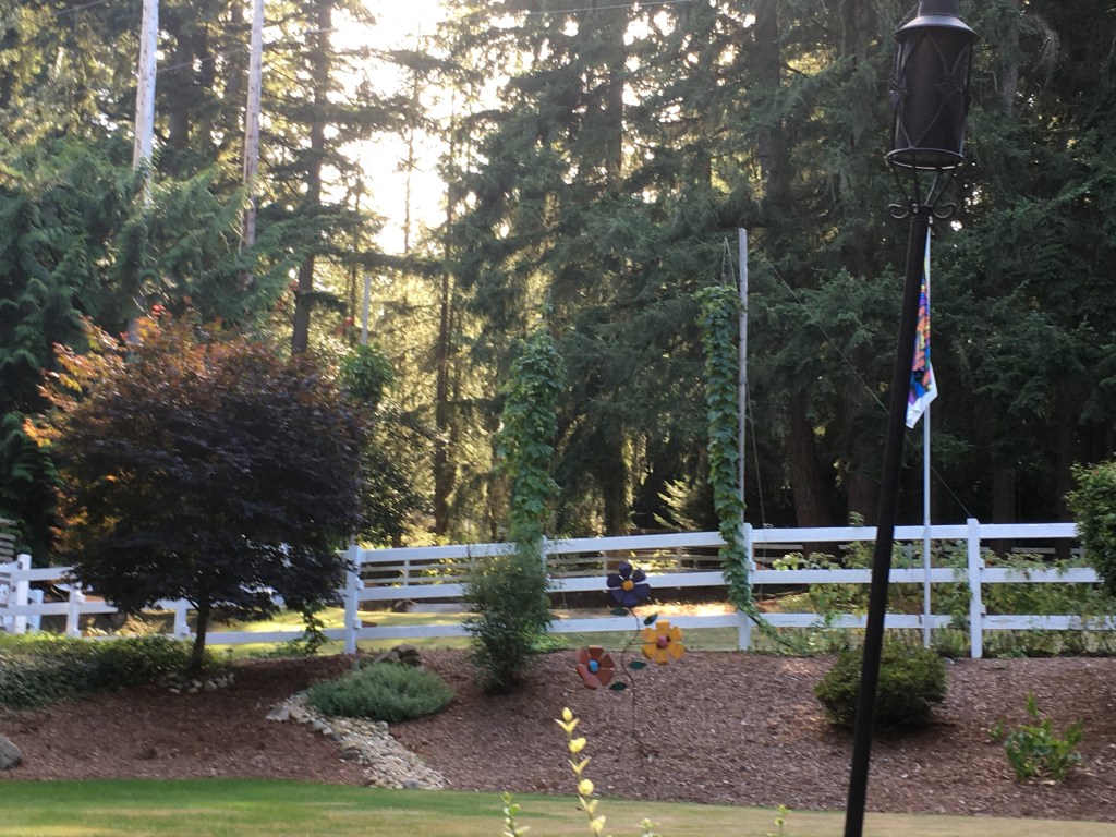 Hops adds color and texture to the landscape