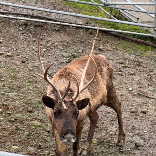 Happy Holidays 2025!